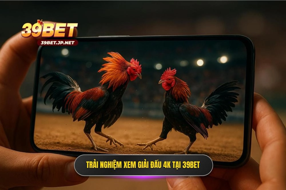 2 Trai Nghiem Da Ga Truc Tiep 39bet Voi Chat Luong Hinh Anh 4k